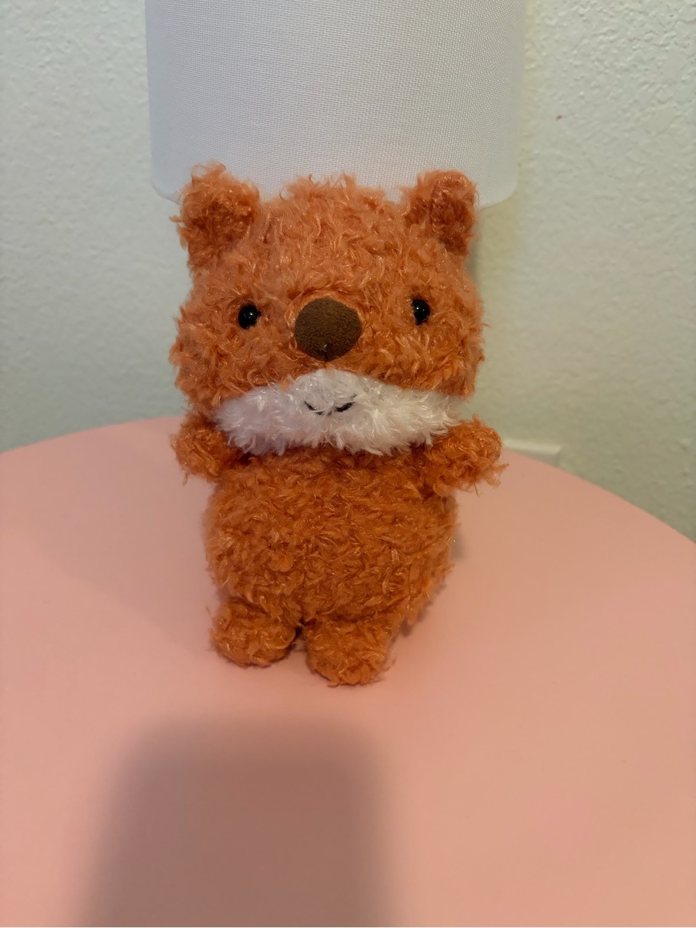 JC Little Fox